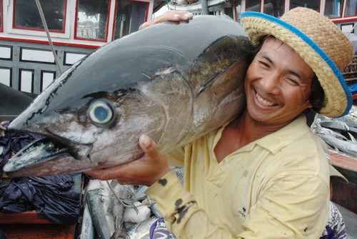 Seminar on tuna industry opens in Da Nang - ảnh 1